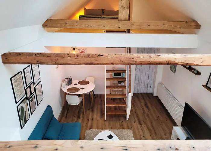 Modernes 1-Zimmer-Apartment Mit Galerie-Schlafkoje Im Skandinavischen Stil