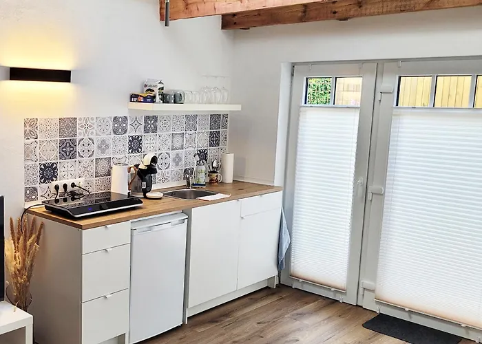 Modernes 1-Zimmer-Apartment Mit Galerie-Schlafkoje Im Skandinavischen Stil