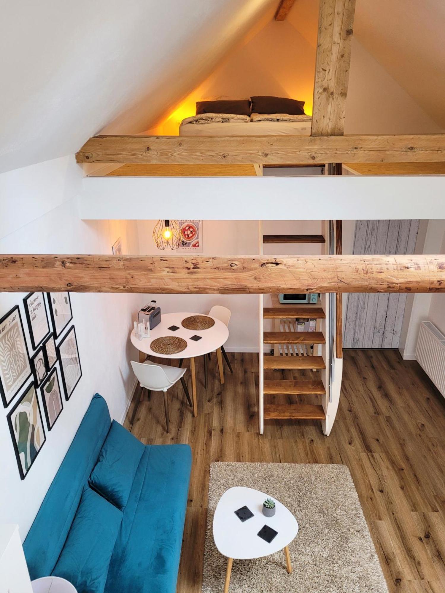 Modernes 1-zimmer-apartment Mit Galerie-schlafkoje Im Skandinavischen Stil Apartment