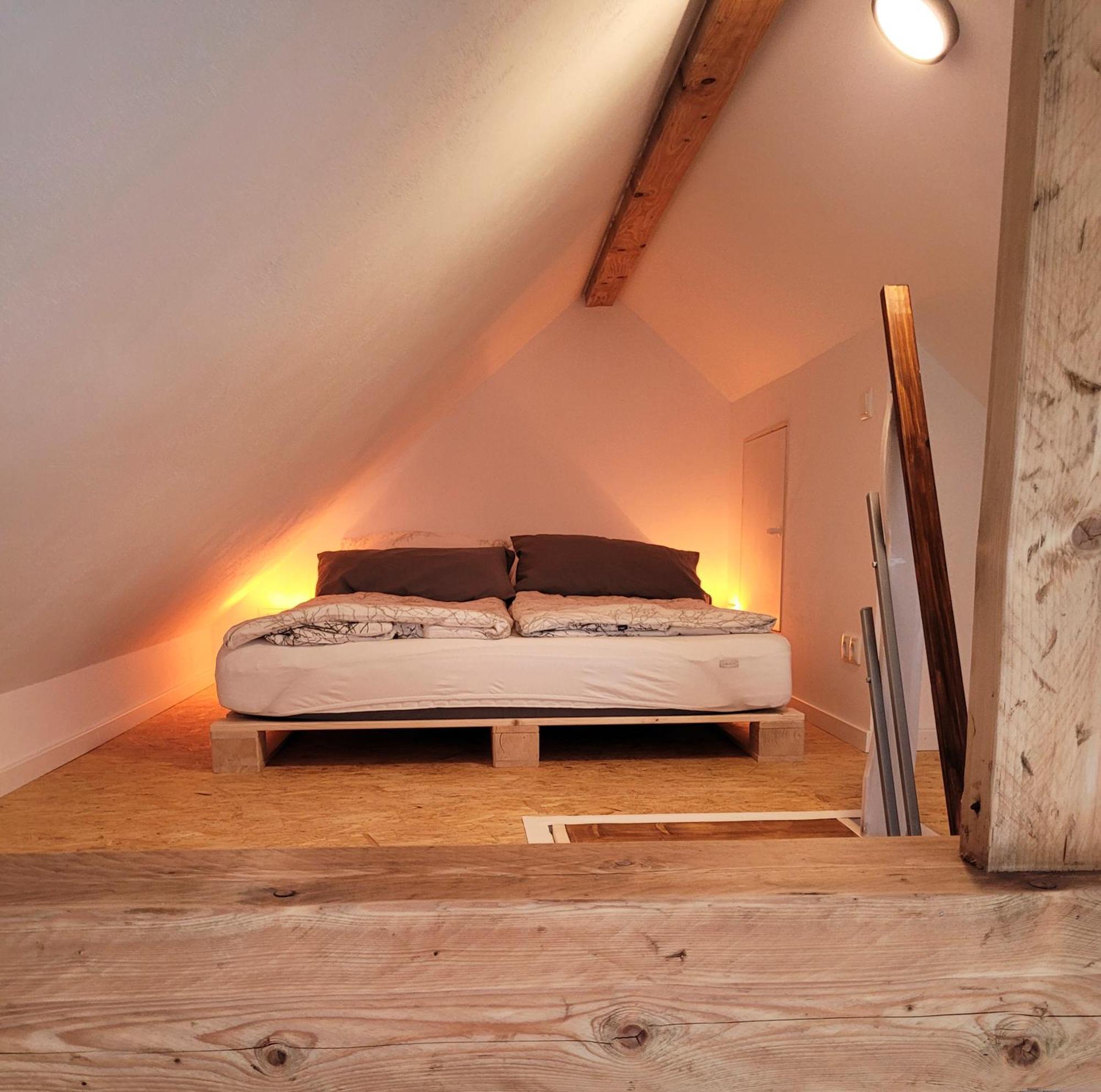 Apartment Modernes 1-zimmer-apartment Mit Galerie-schlafkoje Im Skandinavischen Stil *